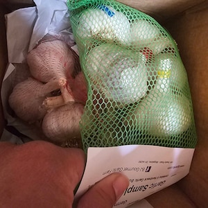 Katrina adicionaram uma foto da sua compra