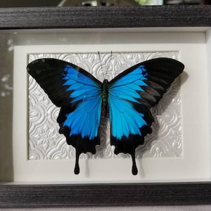 Kerri added a photo of their purchase