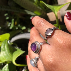 evelyn added a photo of their purchase