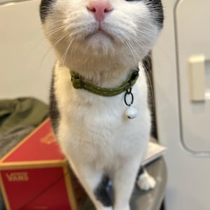 Arlo added a photo of their purchase