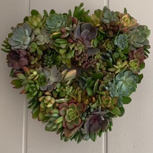 Lorren added a photo of their purchase