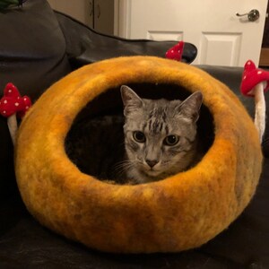 Jamie added a photo of their purchase