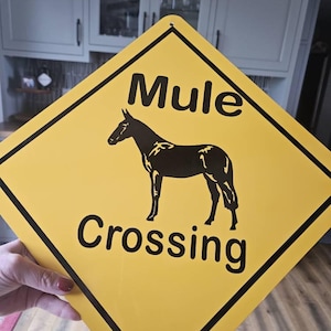 Terri added a photo of their purchase