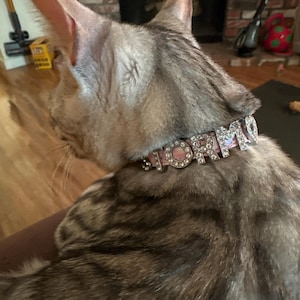 Cynthia added a photo of their purchase
