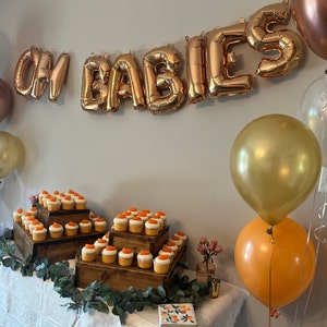 Twins Baby Shower Decorations, Oh Babies Balloon, Oh Babies Banner, Oh ...