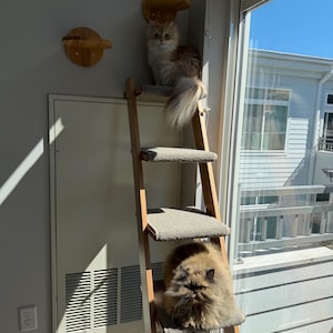 Jeri added a photo of their purchase