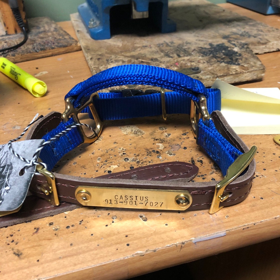 Goat Halter Dwarf Adjustable