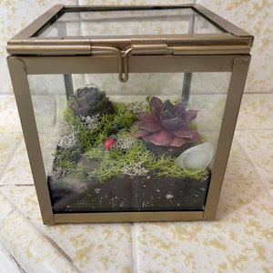 Heidi added a photo of their purchase
