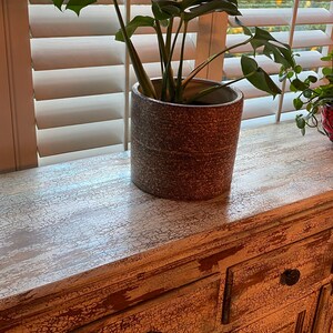 Carmen added a photo of their purchase