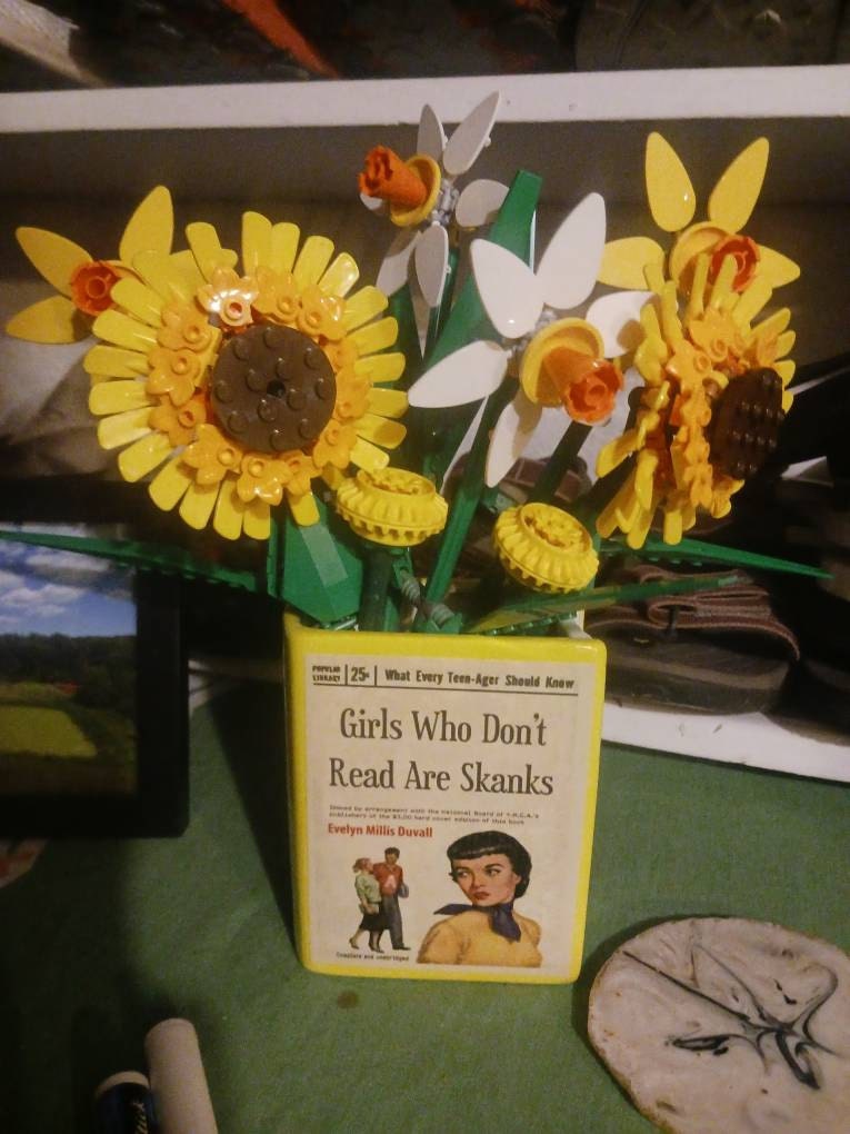 Book vase, Girls who Don't Read are Skanks, vintage pulp novel, pencil holder, planter, gift for reader,