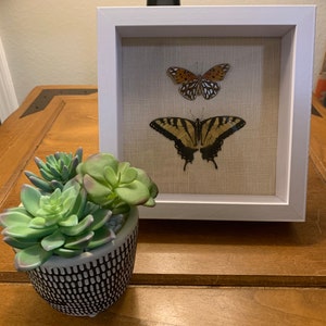 Comprador Etsy adicionaram uma foto da sua compra