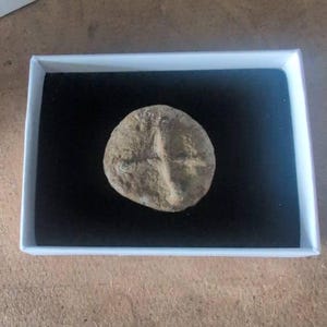 Ronan added a photo of their purchase
