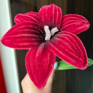 Amelia heeft een foto van zijn/haar aankoop toegevoegd