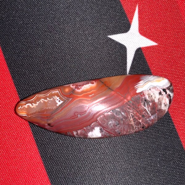 Premium Fossil Collection Chrysanthemum Stone Trilobite Ammonite