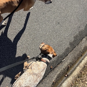 AR. added a photo of their purchase