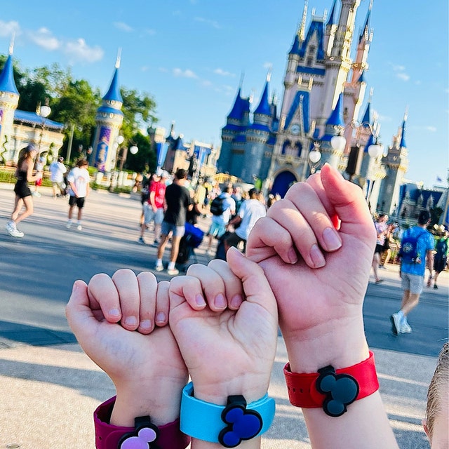 I Can Lock My Front Door with a MagicBand! : r/disneyparks