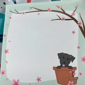 Theresa a ajouté une photo de son achat