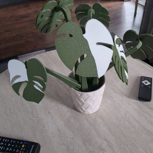 Crystal added a photo of their purchase
