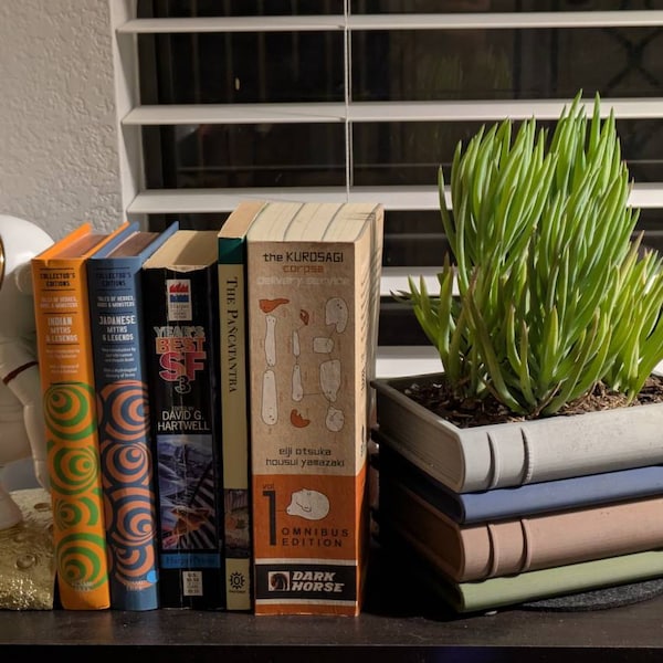 Book Planter for Readers, Stack of Books Succulent Plant Pot, Succulent ...