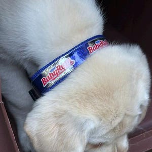 Dave added a photo of their purchase