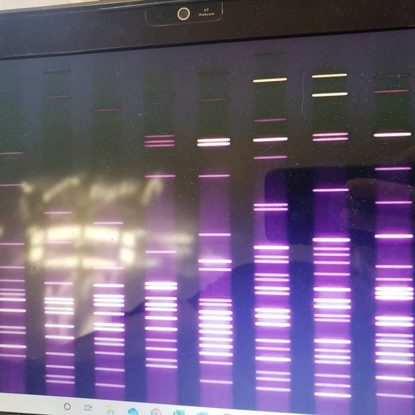 Artistry Meets Genetics: Custom DNA Art for Your Home Decor ...