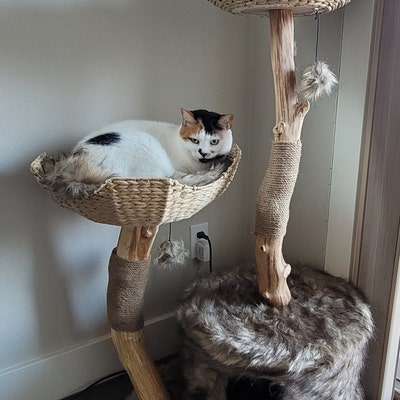 Wood Cat Tree Tower, Cat Climbing Tree, Furniture for Cat, Wooden Cat ...