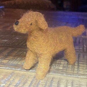 Wendy heeft een foto van de aankoop toegevoegd