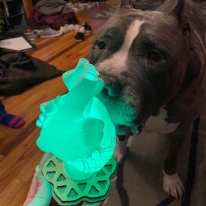 Human Heart 3D Printed Accent Lamp, Anatomical, Table Lamp, Novelty