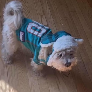  NFL Miami Dolphins Dog Jersey, Size: X-Large. Best Football  Jersey Costume for Dogs & Cats. Licensed Jersey Shirt. : Pet Dresses :  Sports & Outdoors