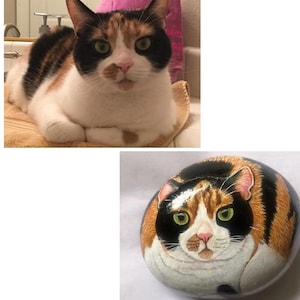 LK added a photo of their purchase