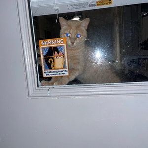 No Soliciting Sign Window Cling Goth violators Will Be - Etsy