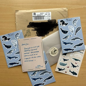 Sina さんが購入した商品の写真を追加しました