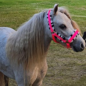 Jitka added a photo of their purchase