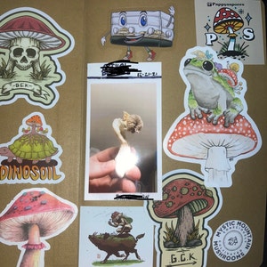 nostalgic characters sticker-collecting book – medium mushroom
