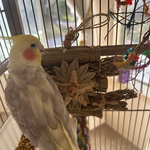 Bita added a photo of their purchase