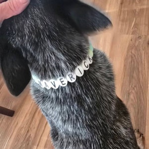 Amie heeft een foto van zijn/haar aankoop toegevoegd