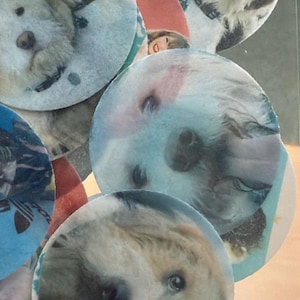 Abigail added a photo of their purchase