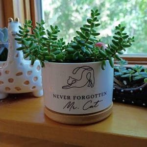Nan added a photo of their purchase