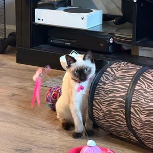 Marilyn added a photo of their purchase