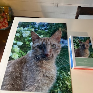 Tessa added a photo of their purchase