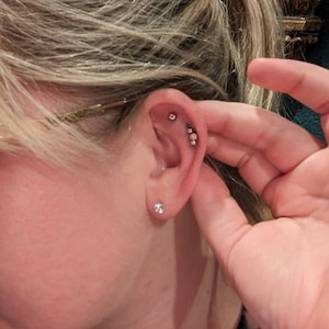 Kelly added a photo of their purchase