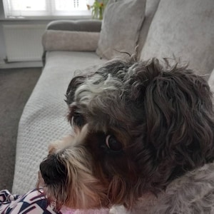 Joan ha añadido una foto de su compra