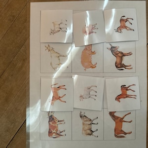Charles heeft een foto van de aankoop toegevoegd