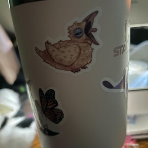 Madison added a photo of their purchase