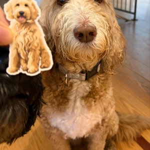 Amber ha añadido una foto de su compra