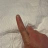 Reviewer's image