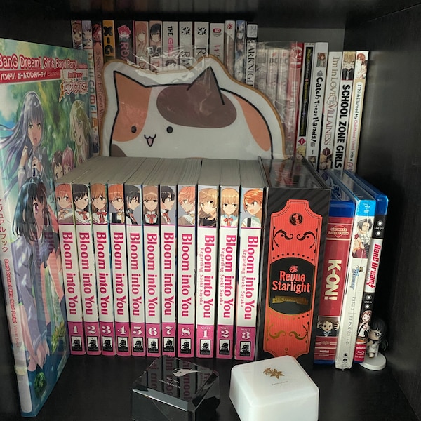 RPB3D / Manga/anime Book Shelf Riser/organizer, DVD/CD / Storage ...