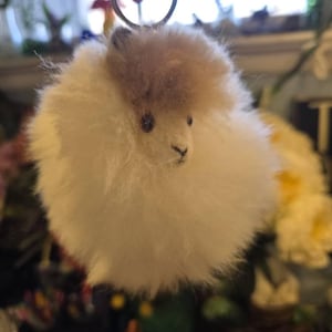 Rachel added a photo of their purchase