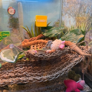 ella added a photo of their purchase