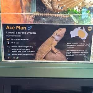 GwenieDAnn ha añadido una foto de su compra